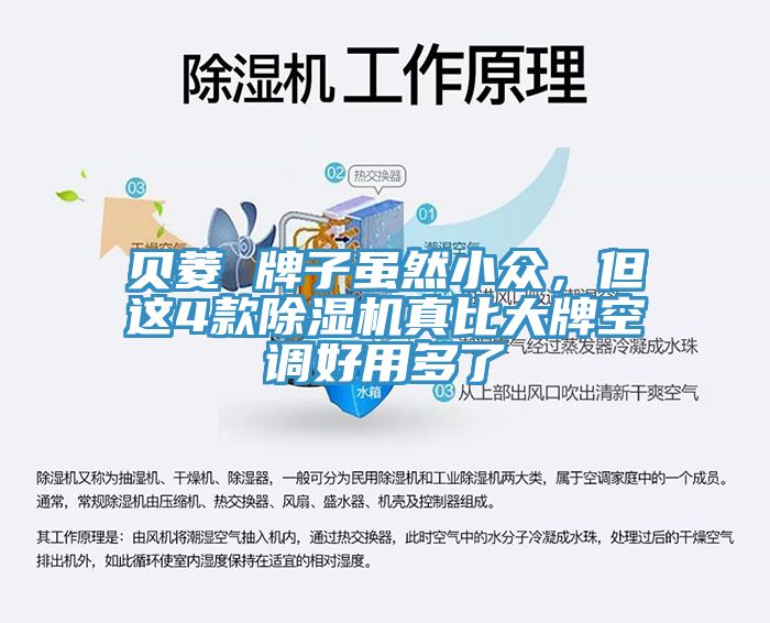 貝菱 牌子雖然小眾，但這4款除濕機真比大牌空調(diào)好用多了
