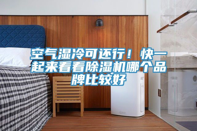 空氣濕冷可還行！快一起來(lái)看看除濕機(jī)哪個(gè)品牌比較好