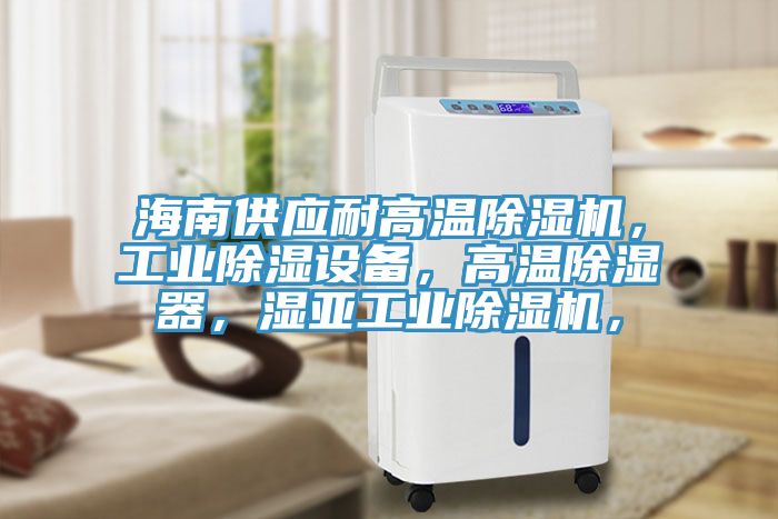 海南供應耐高溫除濕機，工業(yè)除濕設備，高溫除濕器，濕亞工業(yè)除濕機，