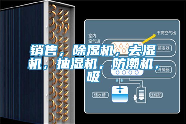 銷售，除濕機(jī)，去濕機(jī)，抽濕機(jī)，防潮機(jī)，吸
