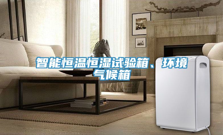 智能恒溫恒濕試驗(yàn)箱、環(huán)境氣候箱