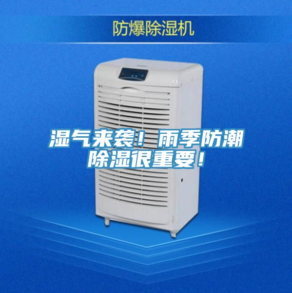 濕氣來(lái)襲！雨季防潮除濕很重要！