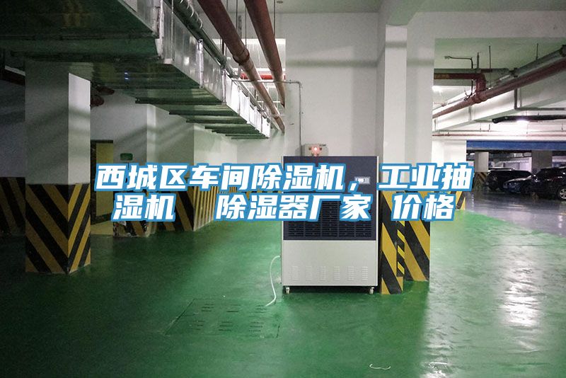 西城區(qū)車間除濕機(jī)，工業(yè)抽濕機(jī)  除濕器廠家 價格