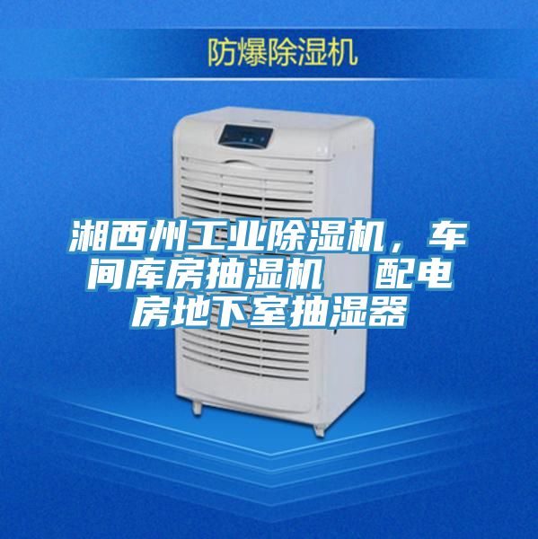 湘西州工業(yè)除濕機(jī)，車(chē)間庫(kù)房抽濕機(jī)  配電房地下室抽濕器