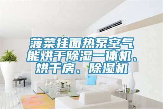 菠菜掛面熱泵空氣能烘干除濕一體機、烘干房、除濕機
