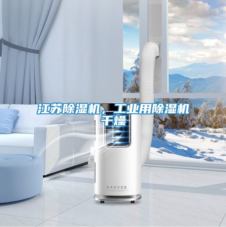 江蘇除濕機，工業(yè)用除濕機干燥