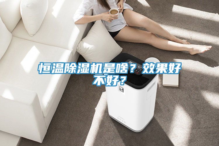 恒溫除濕機(jī)是啥？效果好不好？