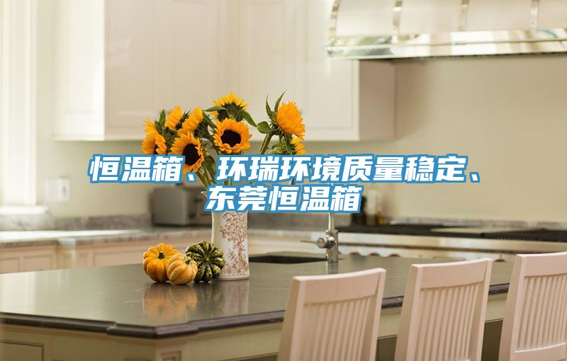 恒溫箱、環(huán)瑞環(huán)境質量穩(wěn)定、東莞恒溫箱