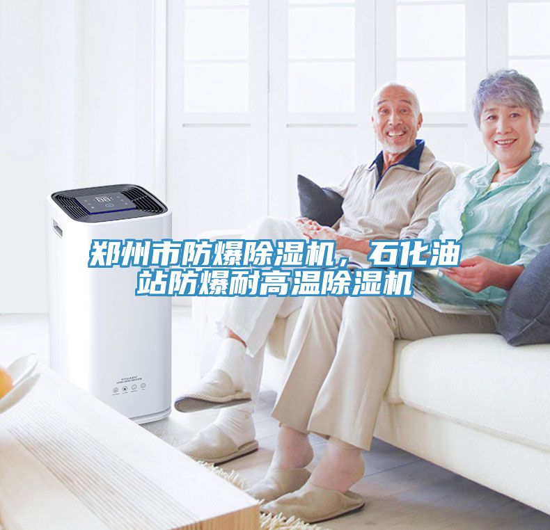 鄭州市防爆除濕機(jī)，石化油站防爆耐高溫除濕機(jī)