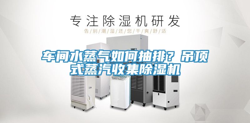 車間水蒸氣如何抽排？吊頂式蒸汽收集除濕機