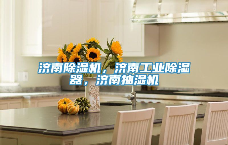 濟南除濕機，濟南工業(yè)除濕器，濟南抽濕機