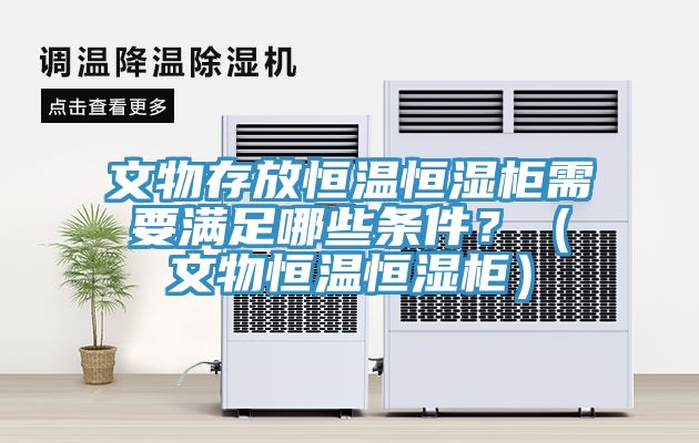 文物存放恒溫恒濕柜需要滿足哪些條件？（文物恒溫恒濕柜）