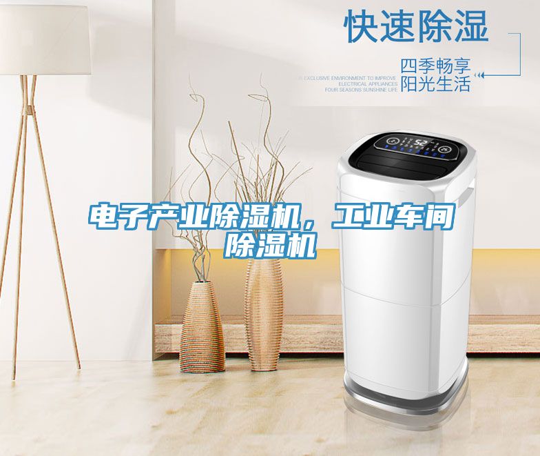 電子產(chǎn)業(yè)除濕機(jī)，工業(yè)車間除濕機(jī)
