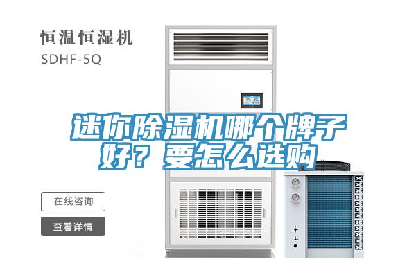 迷你除濕機哪個牌子好？要怎么選購
