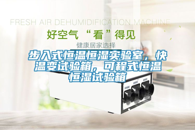 步入式恒溫恒濕實驗室，快溫變試驗箱，可程式恒溫恒濕試驗箱