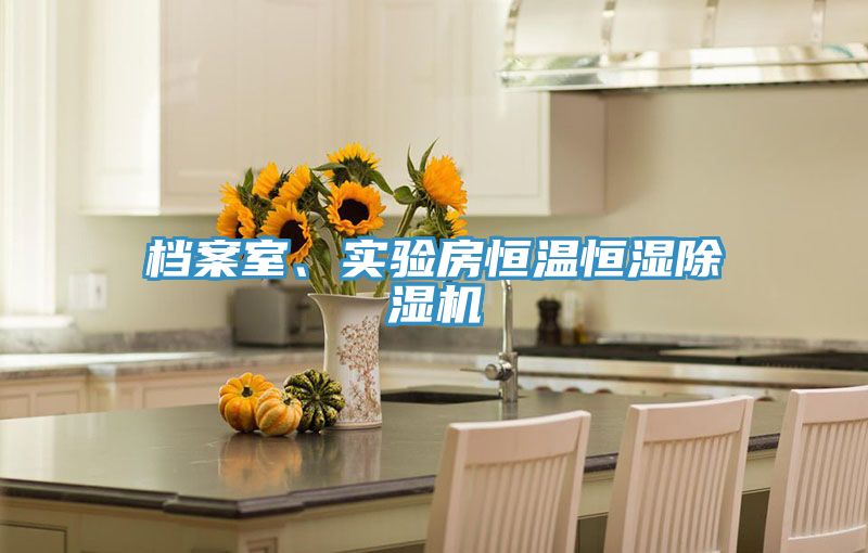 檔案室、實驗房恒溫恒濕除濕機(jī)