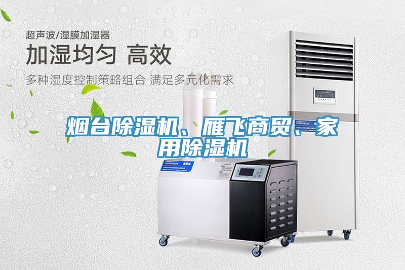 煙臺除濕機、雁飛商貿(mào)、家用除濕機
