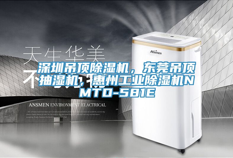 深圳吊頂除濕機，東莞吊頂抽濕機，惠州工業(yè)除濕機NMTD-581E