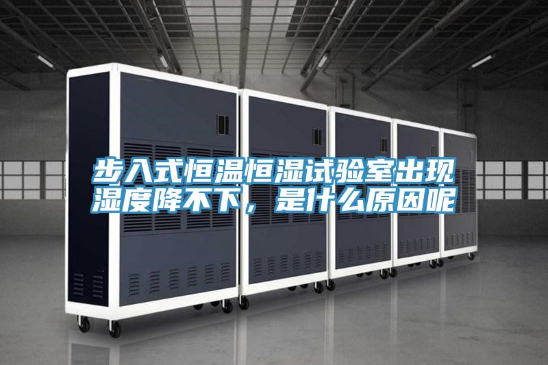 步入式恒溫恒濕試驗(yàn)室出現(xiàn)濕度降不下，是什么原因呢
