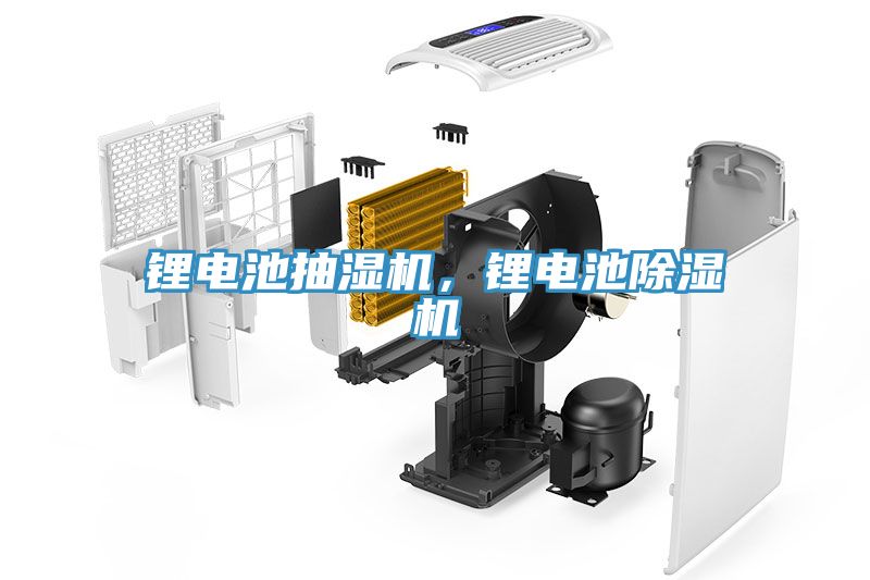 鋰電池抽濕機(jī)，鋰電池除濕機(jī)