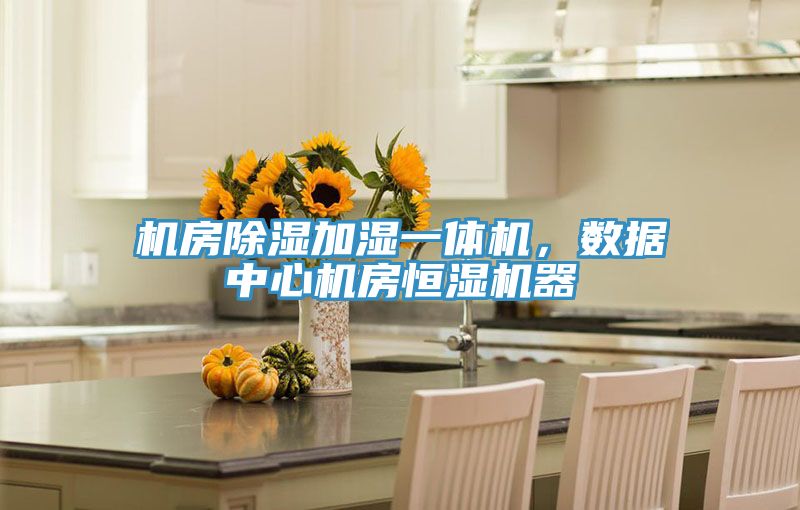 機(jī)房除濕加濕一體機(jī)，數(shù)據(jù)中心機(jī)房恒濕機(jī)器