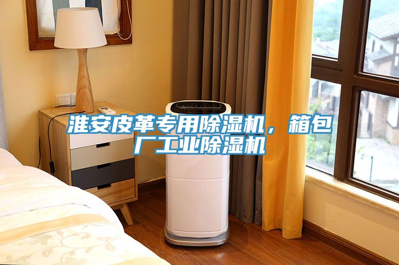淮安皮革專用除濕機，箱包廠工業(yè)除濕機