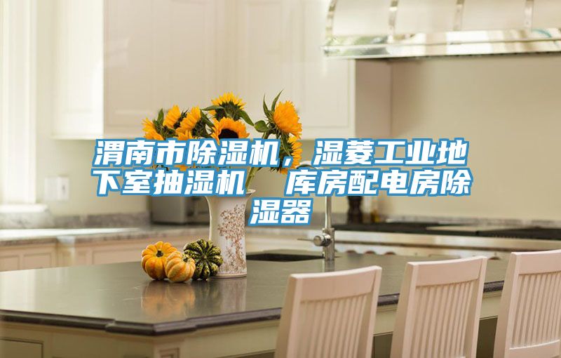 渭南市除濕機，濕菱工業(yè)地下室抽濕機  庫房配電房除濕器