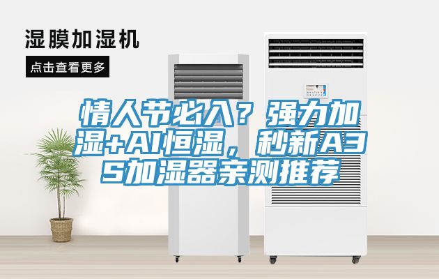 情人節(jié)必入？強力加濕+AI恒濕，秒新A3S加濕器親測推薦