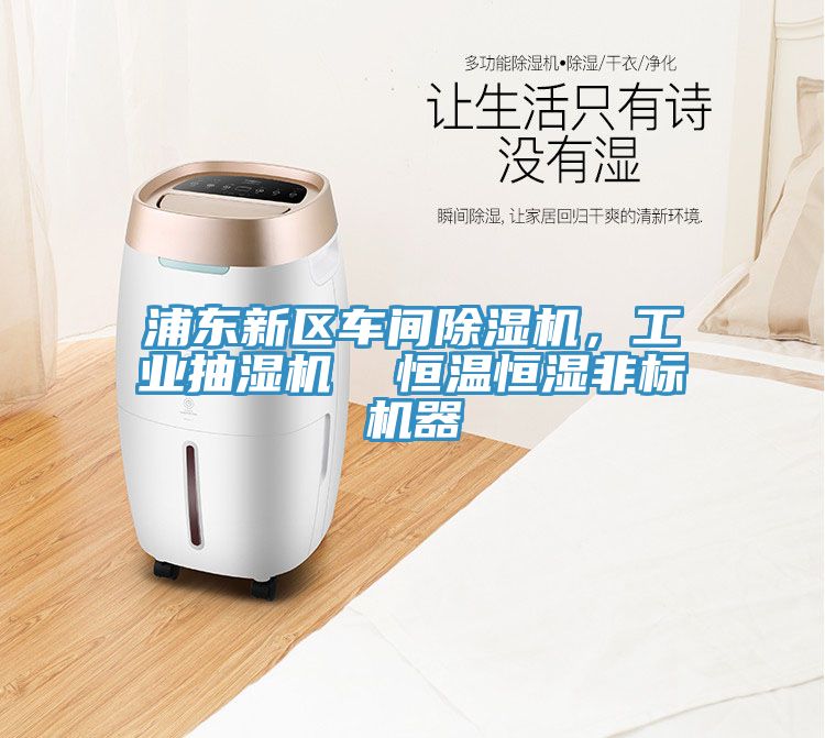 浦東新區(qū)車間除濕機，工業(yè)抽濕機  恒溫恒濕非標機器