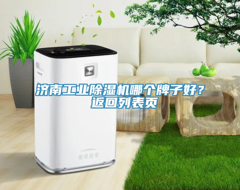 濟南工業(yè)除濕機哪個牌子好？ 返回列表頁