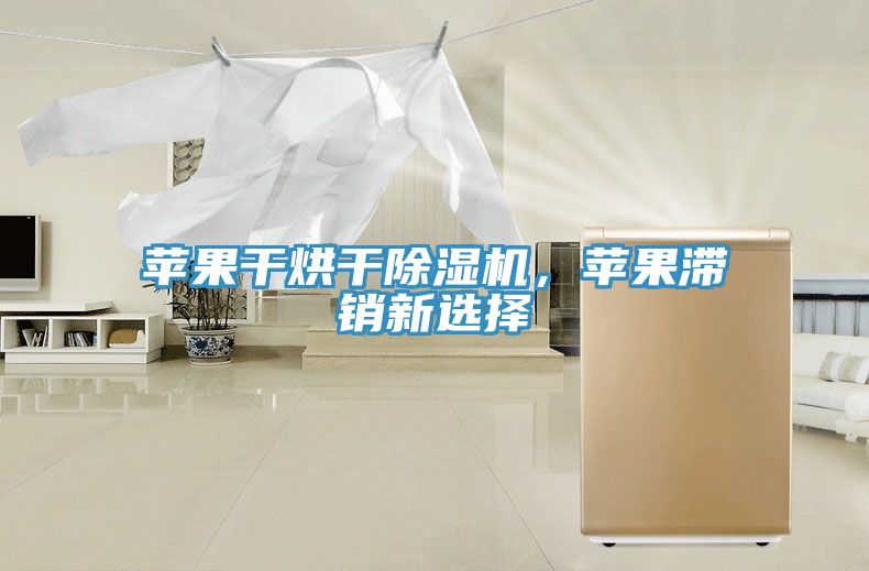 蘋果干烘干除濕機(jī)，蘋果滯銷新選擇