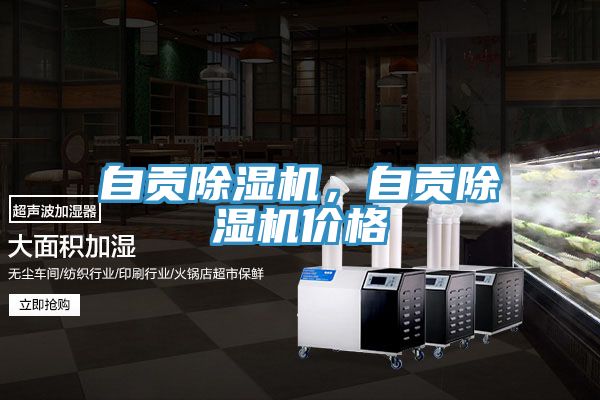 自貢除濕機(jī)，自貢除濕機(jī)價格