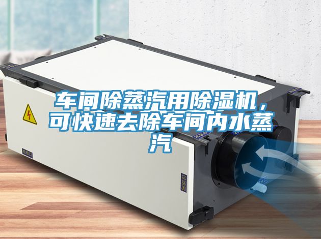 車間除蒸汽用除濕機(jī)，可快速去除車間內(nèi)水蒸汽