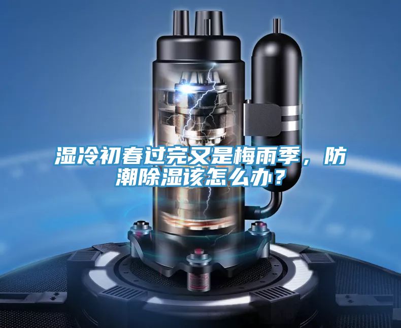 濕冷初春過完又是梅雨季，防潮除濕該怎么辦？