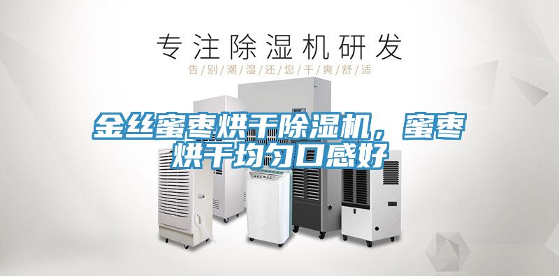 金絲蜜棗烘干除濕機，蜜棗烘干均勻口感好