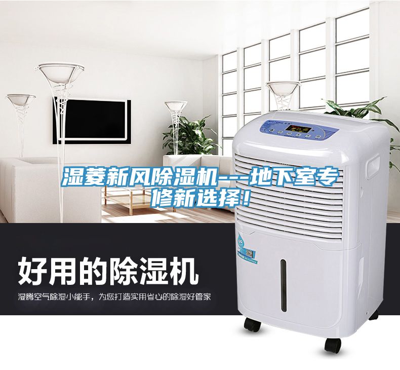 濕菱新風(fēng)除濕機(jī)---地下室專(zhuān)修新選擇！