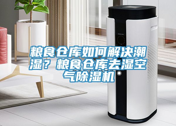 糧食倉(cāng)庫如何解決潮濕？糧食倉(cāng)庫去濕空氣除濕機(jī)