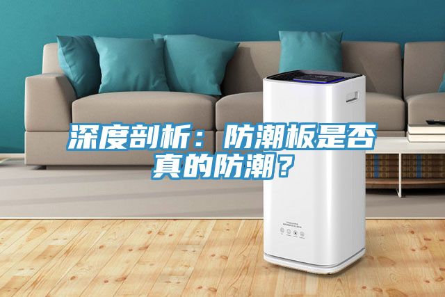 深度剖析：防潮板是否真的防潮？