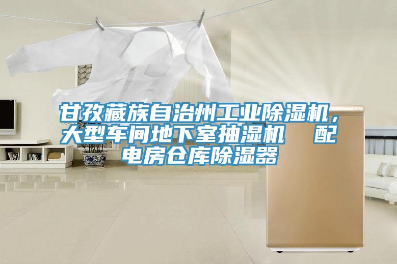 甘孜藏族自治州工業(yè)除濕機，大型車間地下室抽濕機  配電房倉庫除濕器