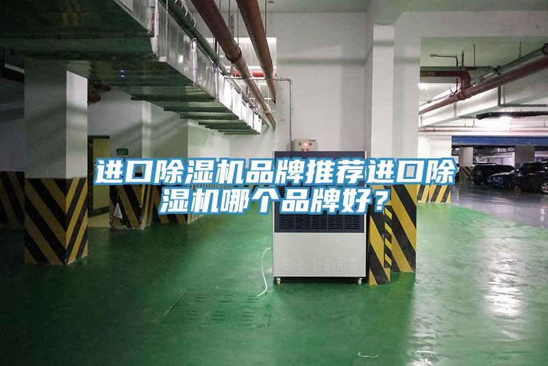 進(jìn)口除濕機(jī)品牌推薦進(jìn)口除濕機(jī)哪個(gè)品牌好？