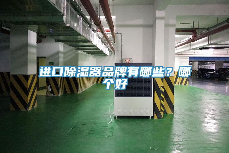 進(jìn)口除濕器品牌有哪些？哪個(gè)好