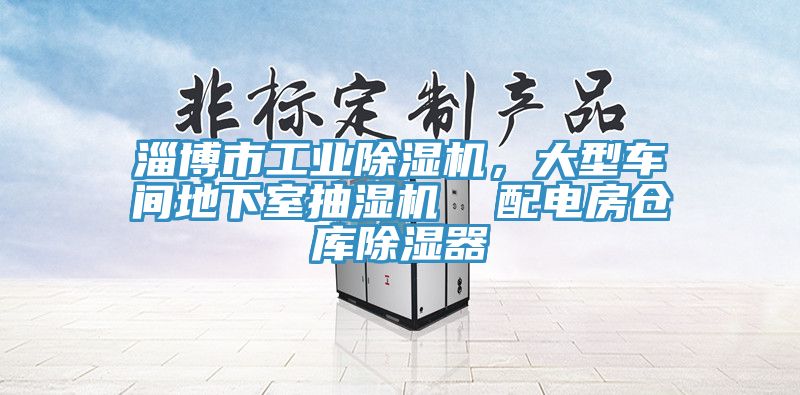 淄博市工業(yè)除濕機，大型車間地下室抽濕機  配電房倉庫除濕器