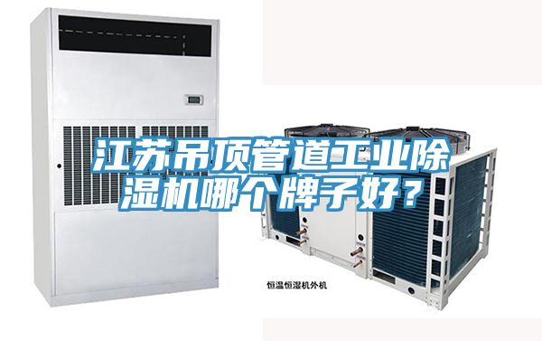 江蘇吊頂管道工業(yè)除濕機(jī)哪個(gè)牌子好？
