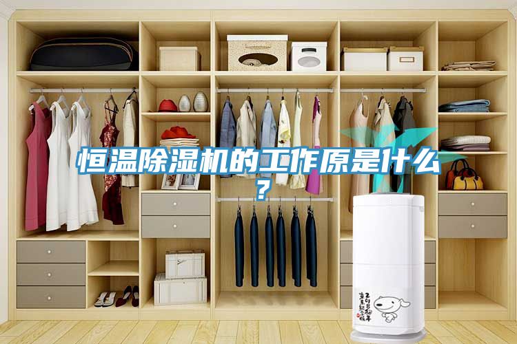 恒溫除濕機(jī)的工作原是什么？