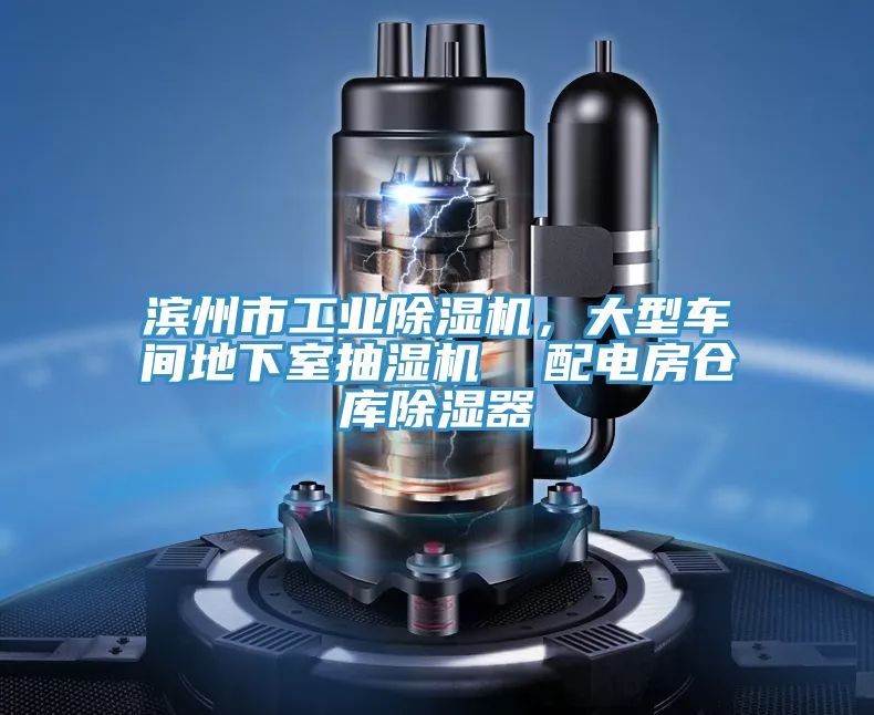 濱州市工業(yè)除濕機(jī)，大型車(chē)間地下室抽濕機(jī)  配電房倉(cāng)庫(kù)除濕器
