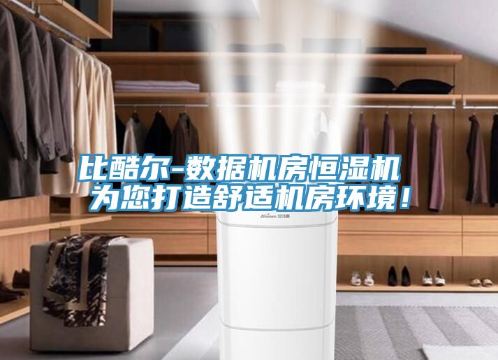 比酷爾-數(shù)據(jù)機房恒濕機 為您打造舒適機房環(huán)境！