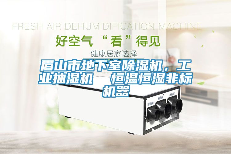 眉山市地下室除濕機，工業(yè)抽濕機  恒溫恒濕非標(biāo)機器