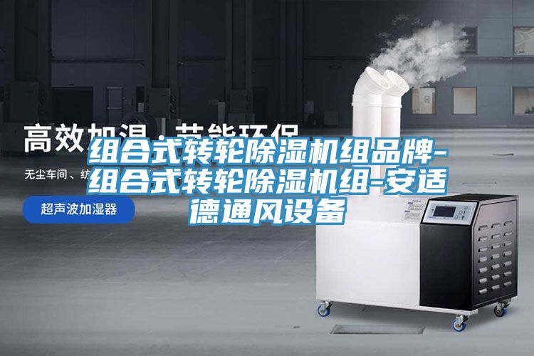 組合式轉(zhuǎn)輪除濕機組品牌-組合式轉(zhuǎn)輪除濕機組-安適德通風設備