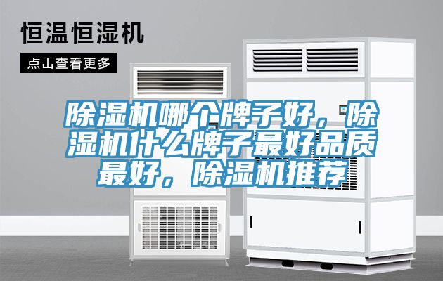 除濕機(jī)哪個(gè)牌子好，除濕機(jī)什么牌子最好品質(zhì)最好，除濕機(jī)推薦