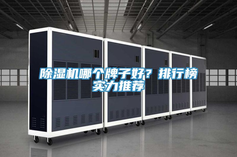 除濕機(jī)哪個(gè)牌子好？排行榜實(shí)力推薦